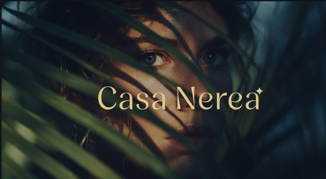 Desarrollo en Preventa